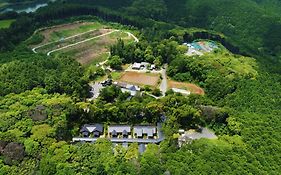そのぎ茶温泉里山の湯宿 つわぶきの花